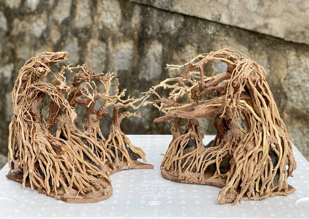 Nghệ thuật sắp đặt lũa thủy sinh tạo chiều sâu cho hồ cá