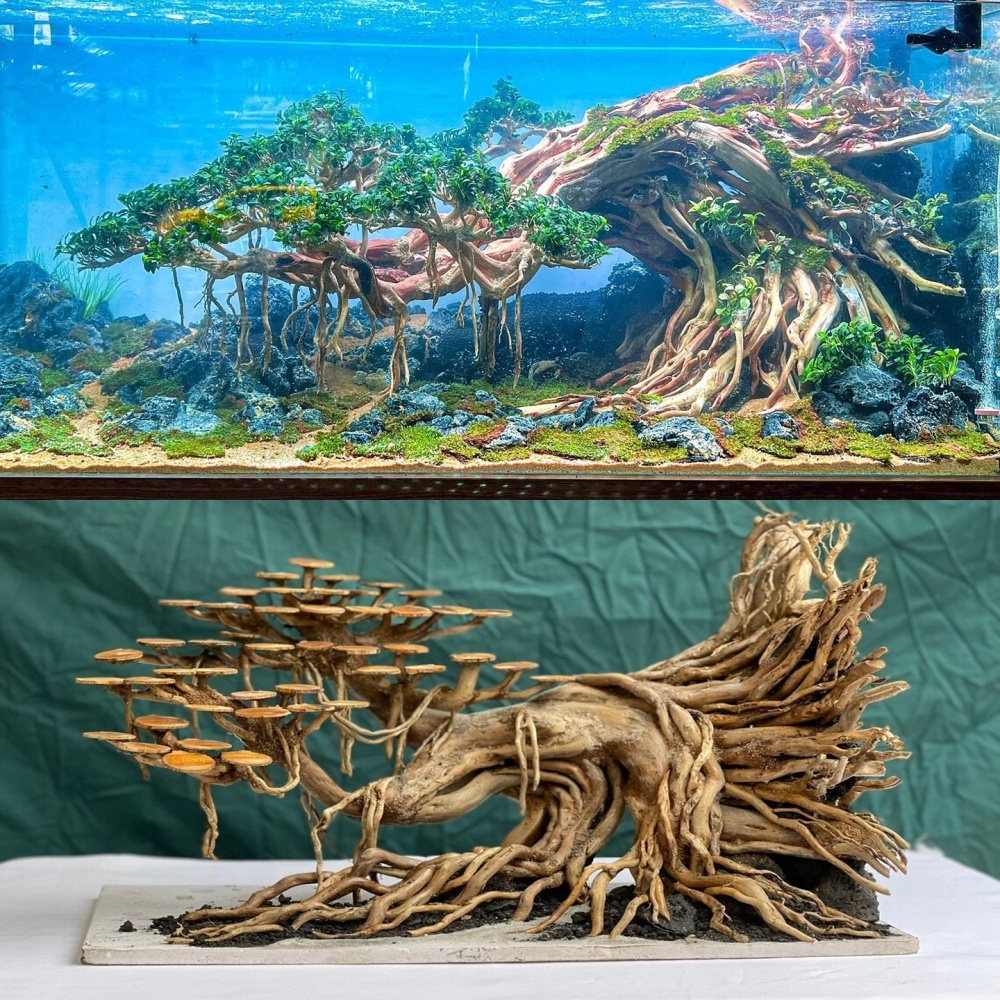 Kết hợp đá da voi và lũa thủy sinh tạo vách núi