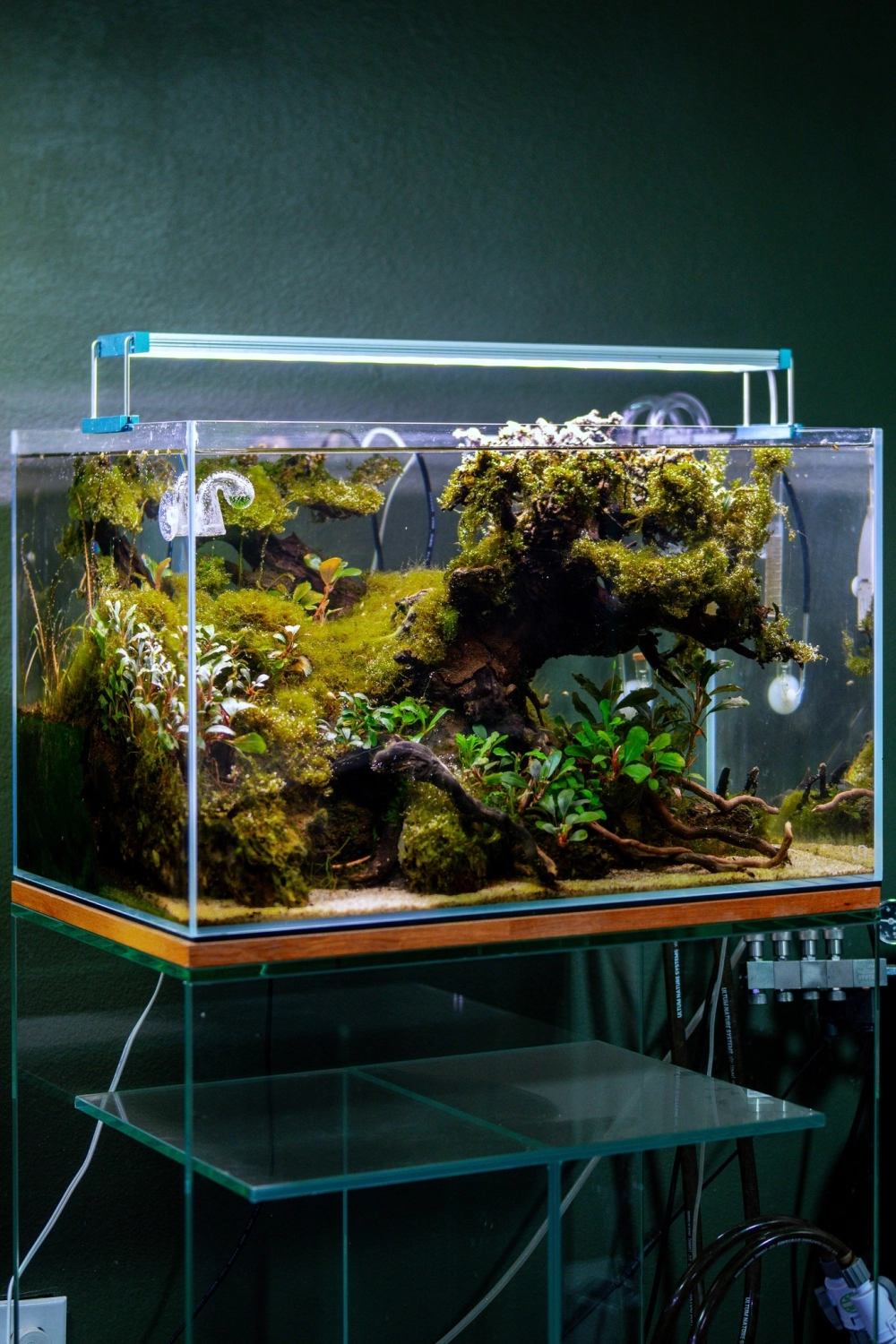 Lũa linh sam kết hợp rêu xanh tạo hình cây cổ thụ