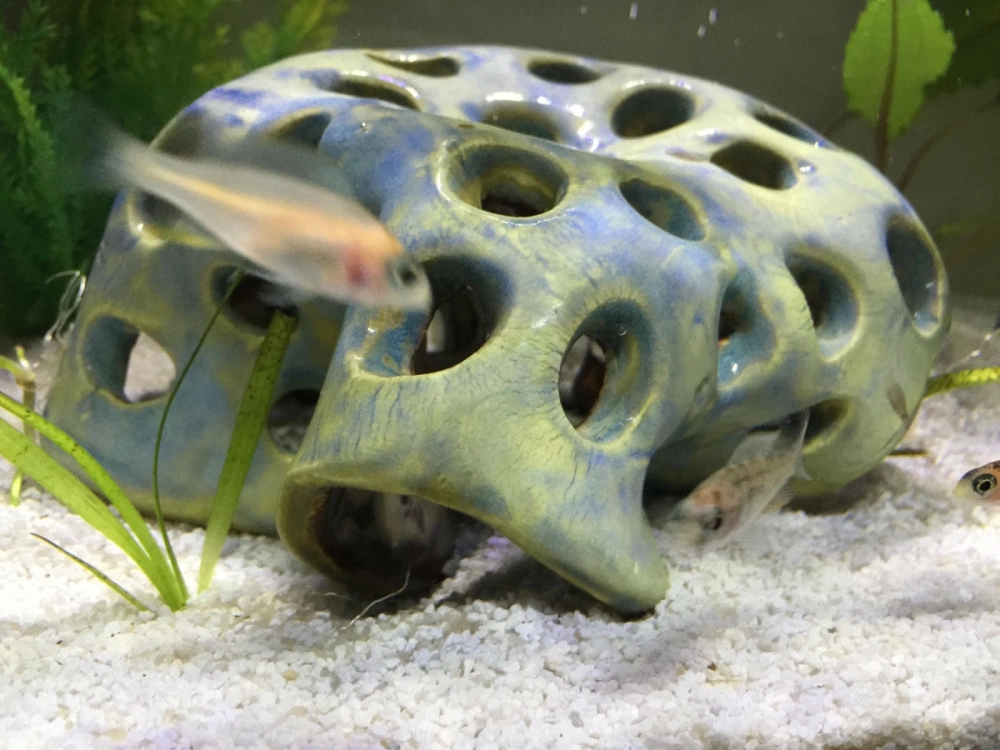 Bể cá cảnh trang trí nhà gốm gốm mộc mạc