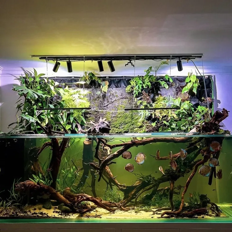 Mua sắm các loại phụ kiện Biotope