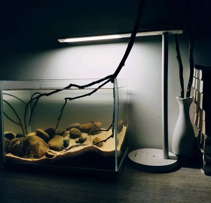 Trải lớp cát nắng vàng Biotope mịn