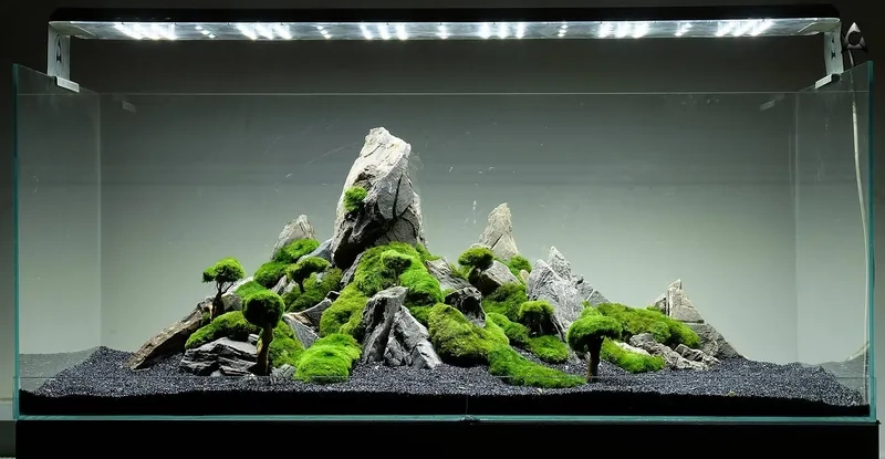 Vẻ đẹp của dòng đá Oya Iwagumi cổ