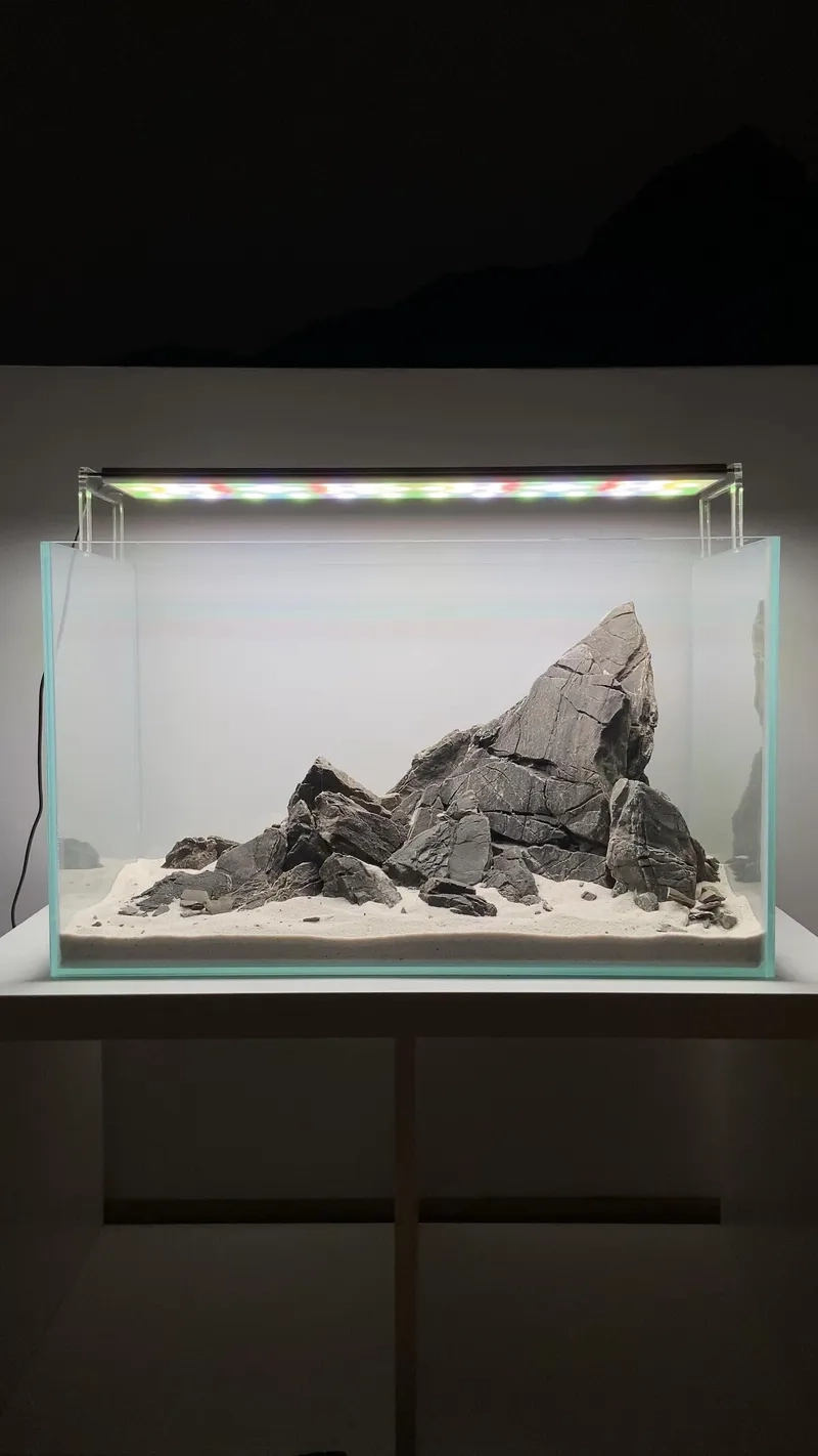 Kinh nghiệm chăm sóc hồ Iwagumi tốt