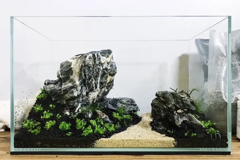 Cách xử lý tảo hại hồ Iwagumi sạch