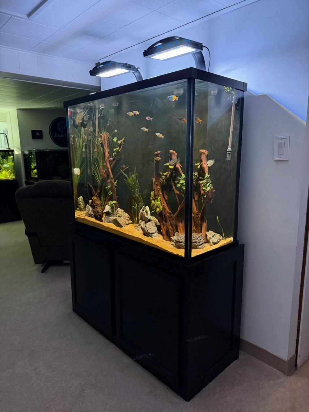 Sỏi trang trí màu trắng tinh khôi rải nền bể cá cảnh