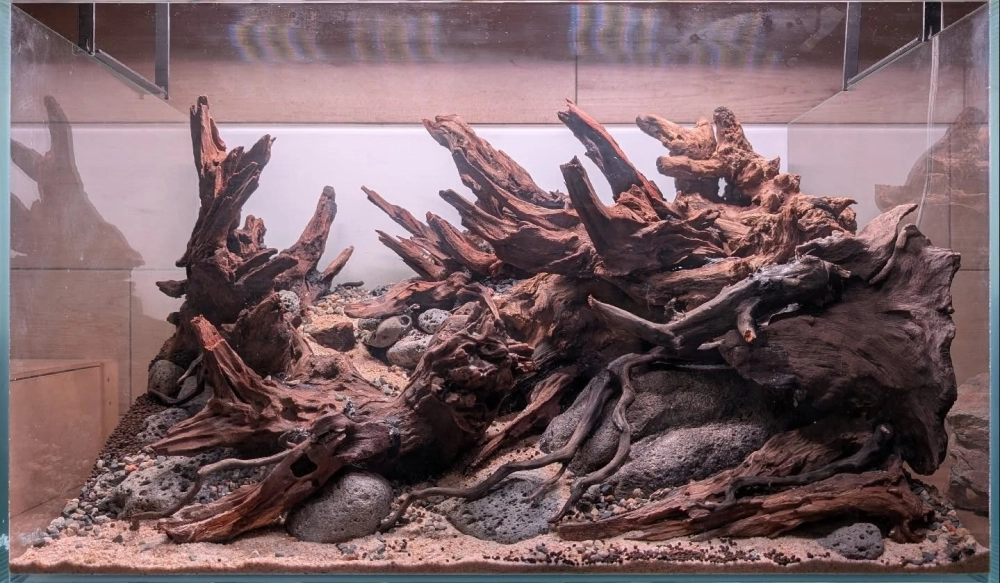 Thiết kế lối đi nhỏ trong bể cá bằng sỏi trắng