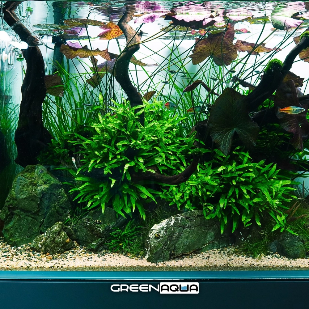 Thảm sỏi mịn cho bể cá phong cách tối giản hiện đại