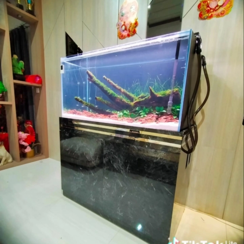 Cận cảnh lớp sỏi đa sắc trải dưới đáy bể cá vàng