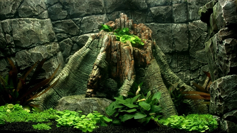 Sơn nền 3D màu xanh rêu tạo vẻ tự nhiên cho bể cá