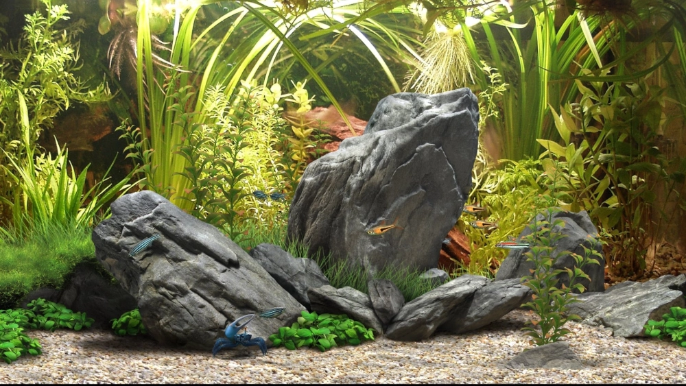 Mẫu nền 3D mô phỏng hang động kỳ bí dưới nước