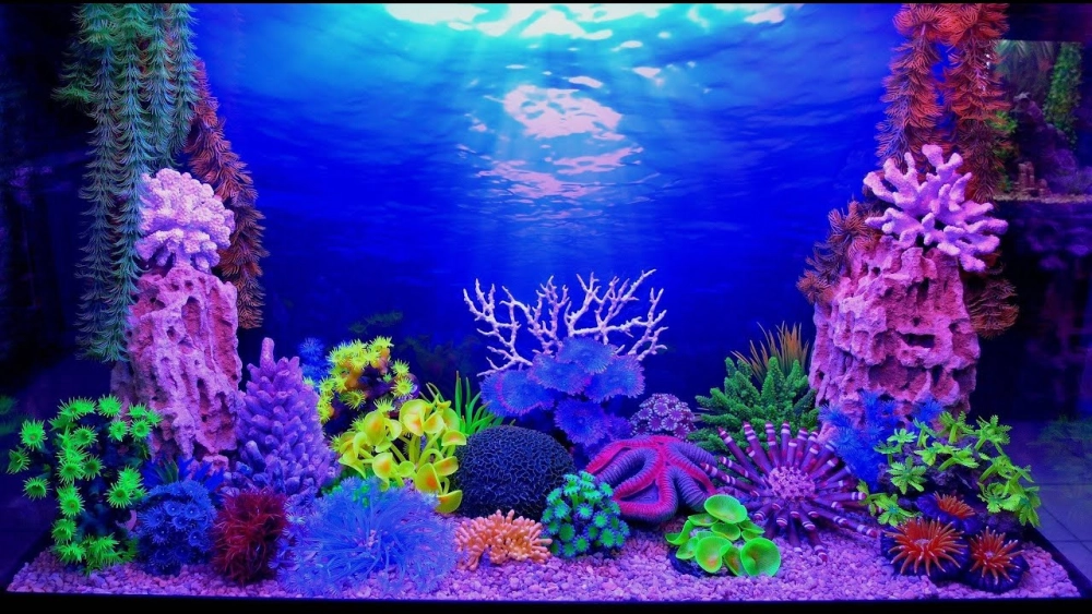 Mẫu sơn nền 3D màu xanh ngọc bích cực kỳ thư giãn