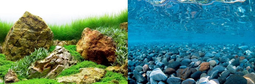 Mẫu sơn nền 3D đen mờ tạo vẻ huyền bí cho bể cảnh