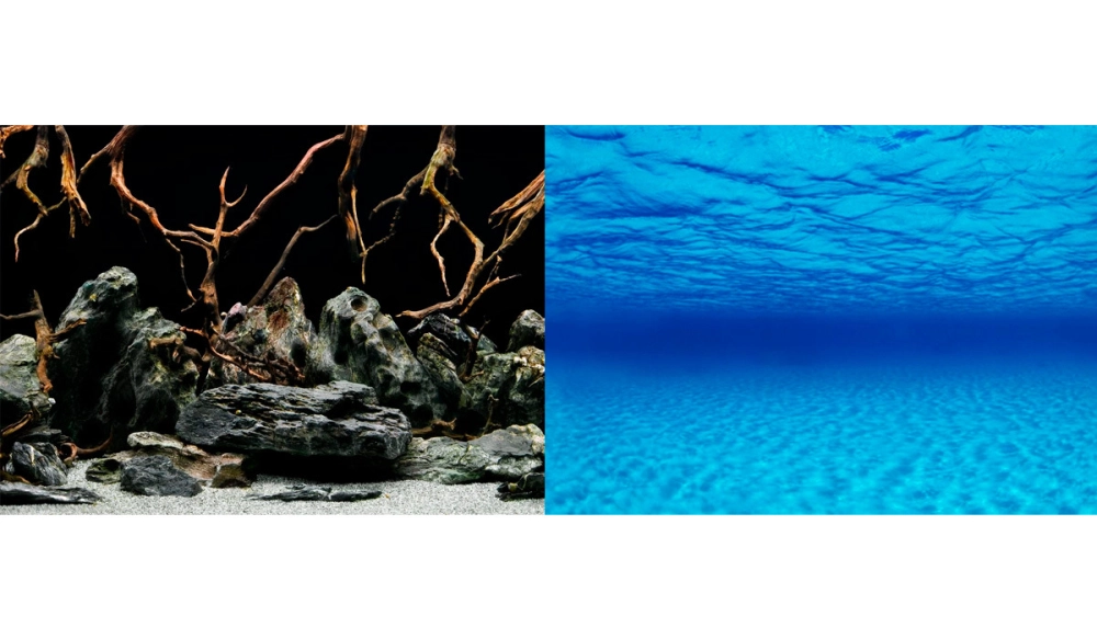 Cách tạo độ bóng cho lớp sơn nền 3D bể cá bền đẹp