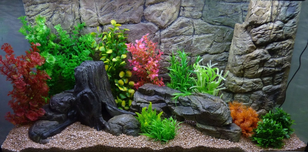 Nghệ thuật vẽ tay sơn nền 3D cho bể cá độc bản