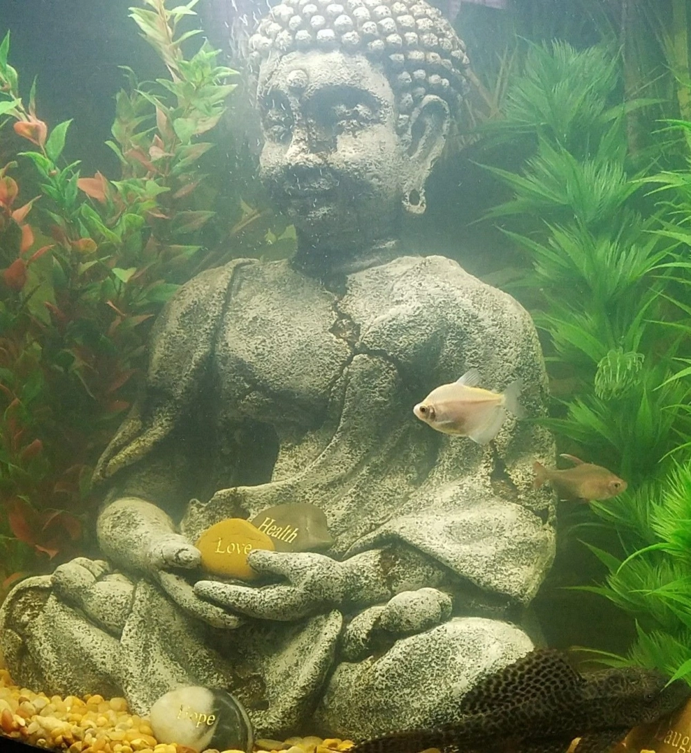 Tiểu cảnh tượng gỗ lũa kết hợp đá cuội tự nhiên