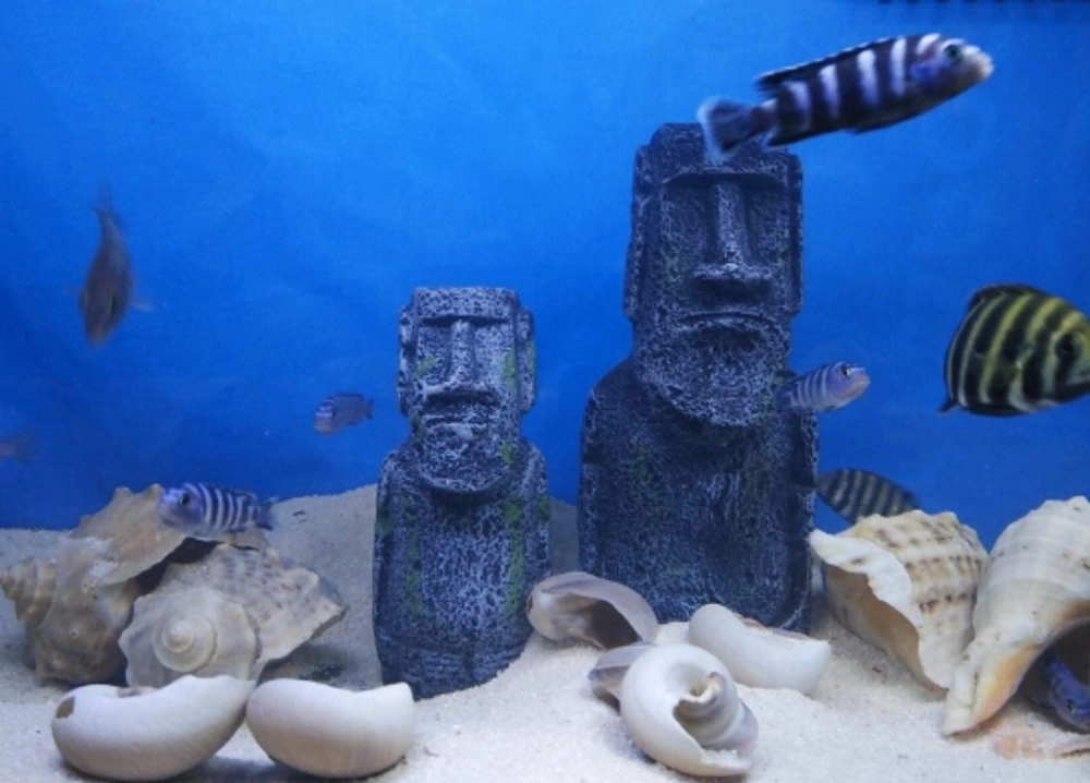 Mô hình cầu đá nhỏ bắc ngang thảm cỏ thủy sinh