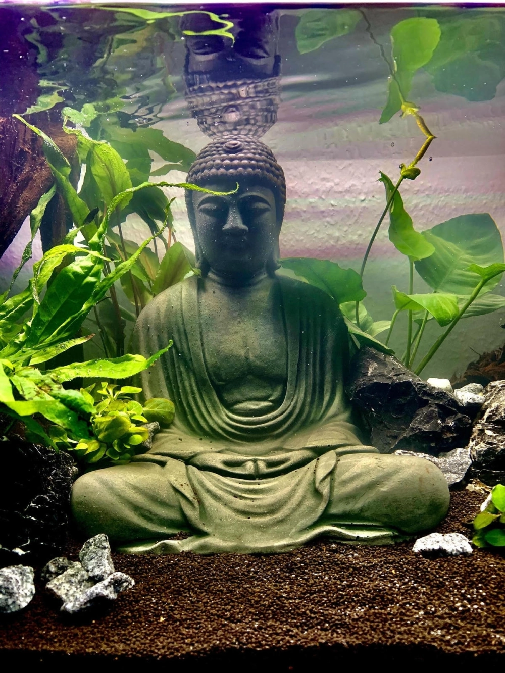 Mô hình lâu đài phương Tây tráng lệ trong bể kính