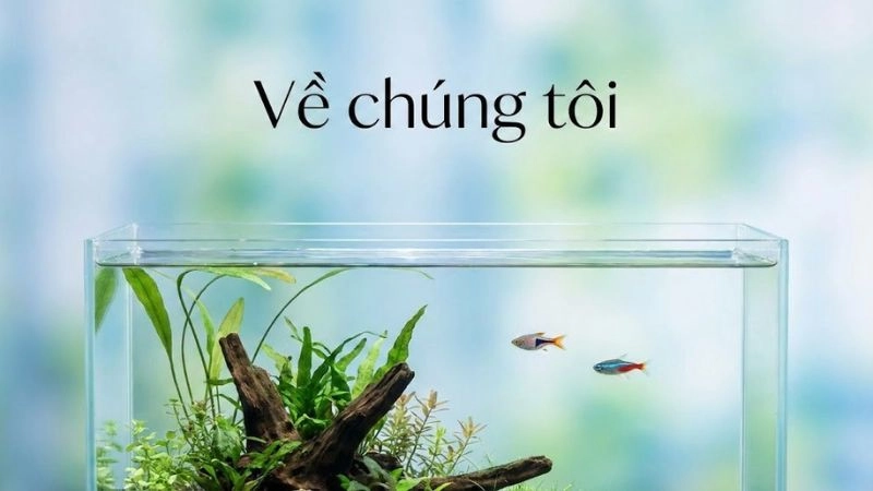 Sứ mệnh và tầm nhìn