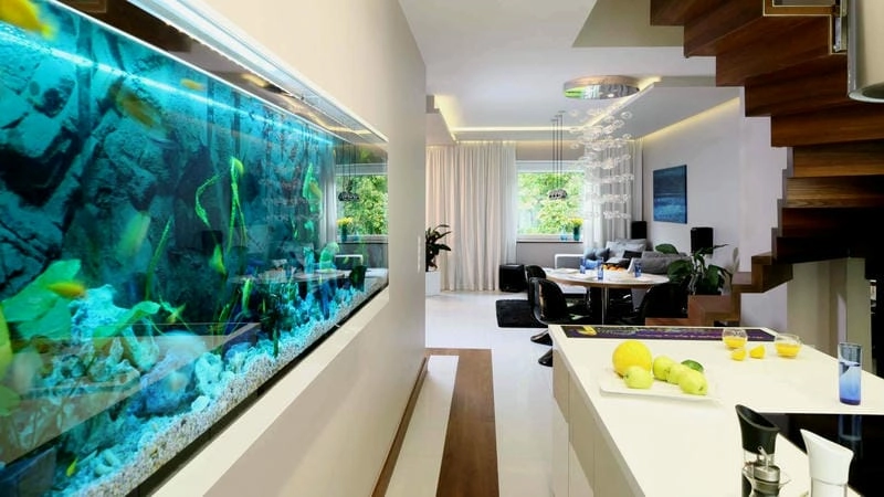 Hồ thủy sinh đẹp cho người mới chơi dễ tiếp cận