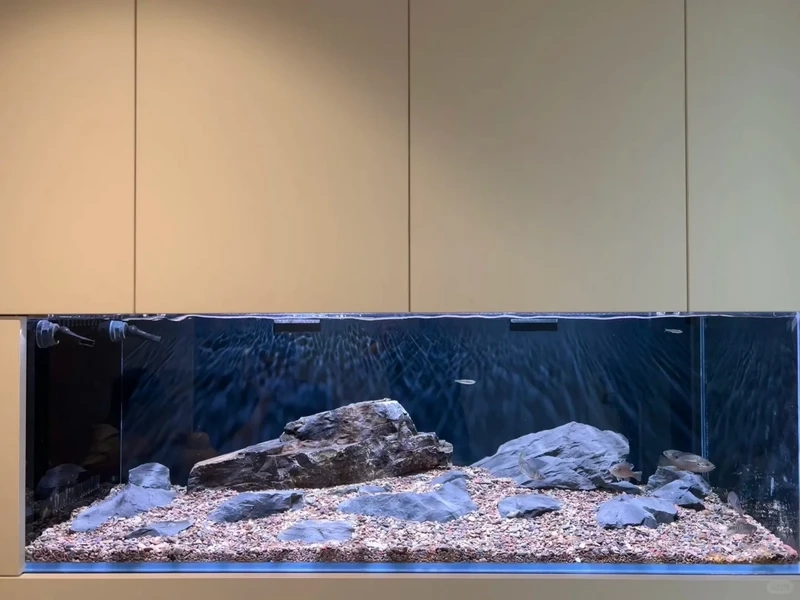 Ý tưởng bể cá âm tường phòng khách sang trọng nổi bật