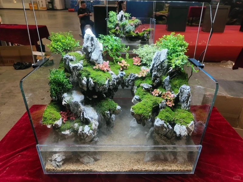 Mẫu bể cá bán cạn moss mềm mại tự nhiên