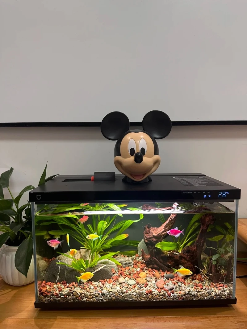 Chơi bền vững bằng bể thủy sinh biotop chuẩn hệ sinh thái