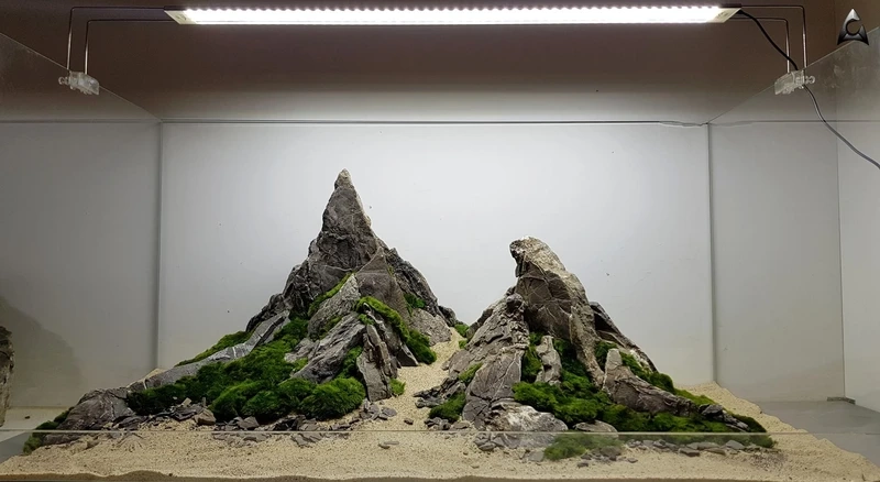 Chiêm ngưỡng bể thủy sinh đá tiger tự nhiên chuẩn style thiên nhiên