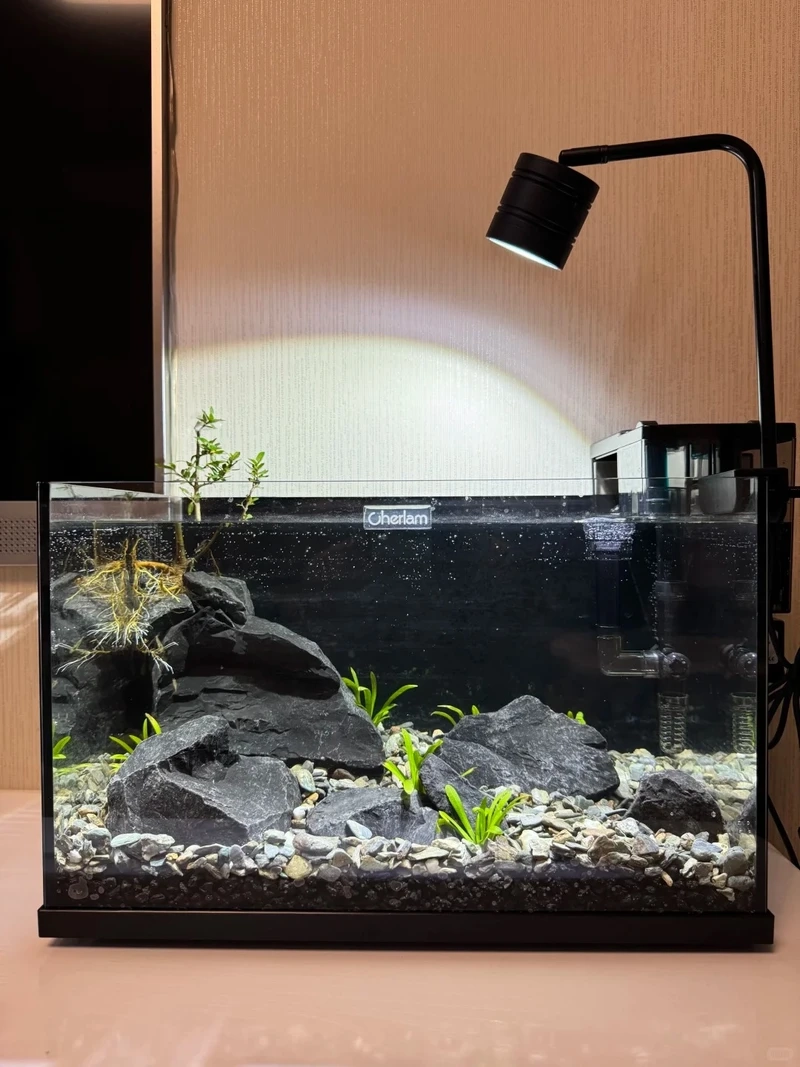 Setup bể thủy sinh đá tiger ánh sáng mạnh cho màu đá nổi bật