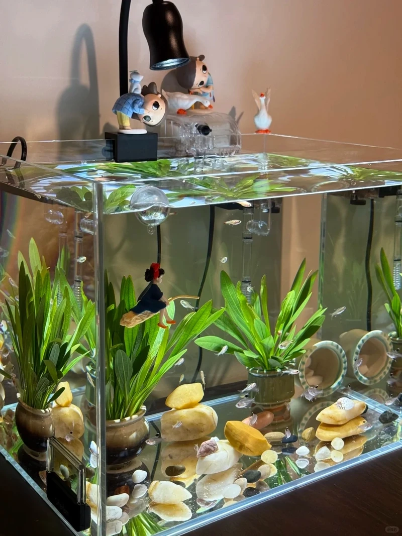 Khám phá phong cách decor bể thủy sinh rừng xanh mát