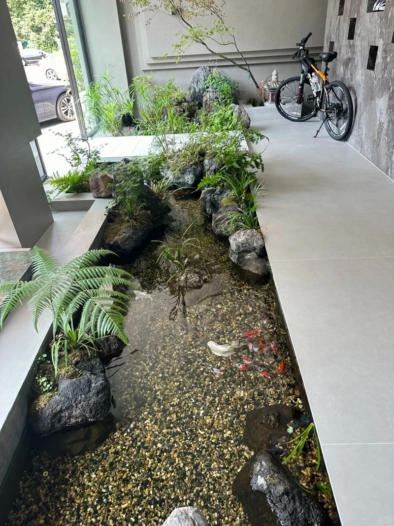 Khám phá tiểu cảnh hồ cá phong thủy mang lại tài lộc