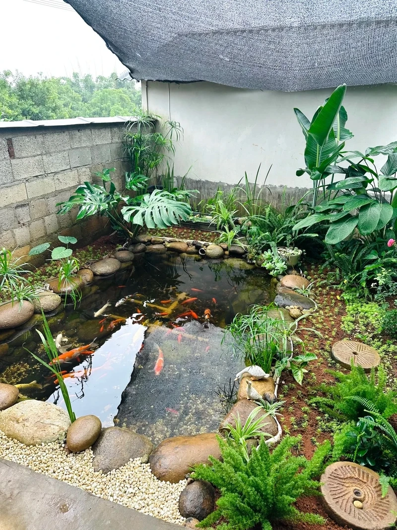 Bộ sưu tập tiểu cảnh hồ cá trang trí cực kỳ nổi bật