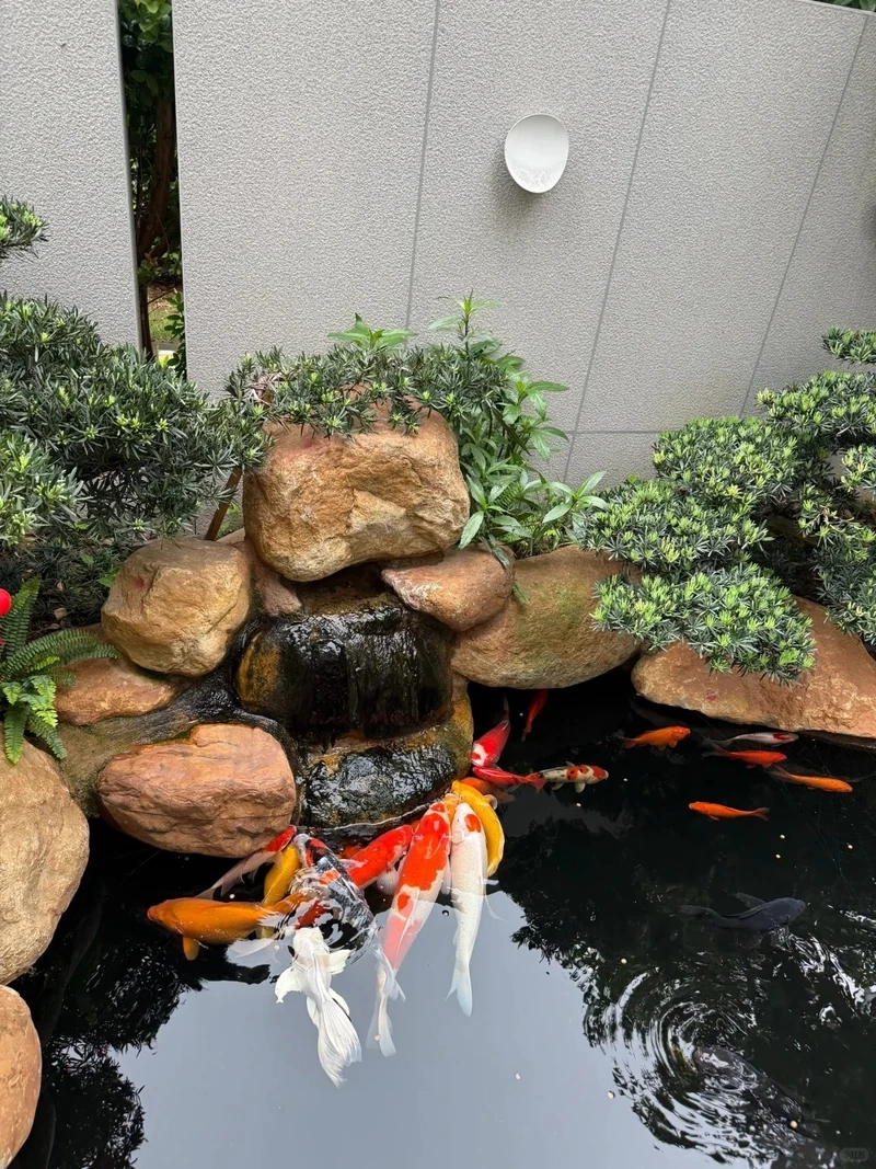 Tổng hợp tiểu cảnh hồ cá nghệ thuật đáng tham khảo