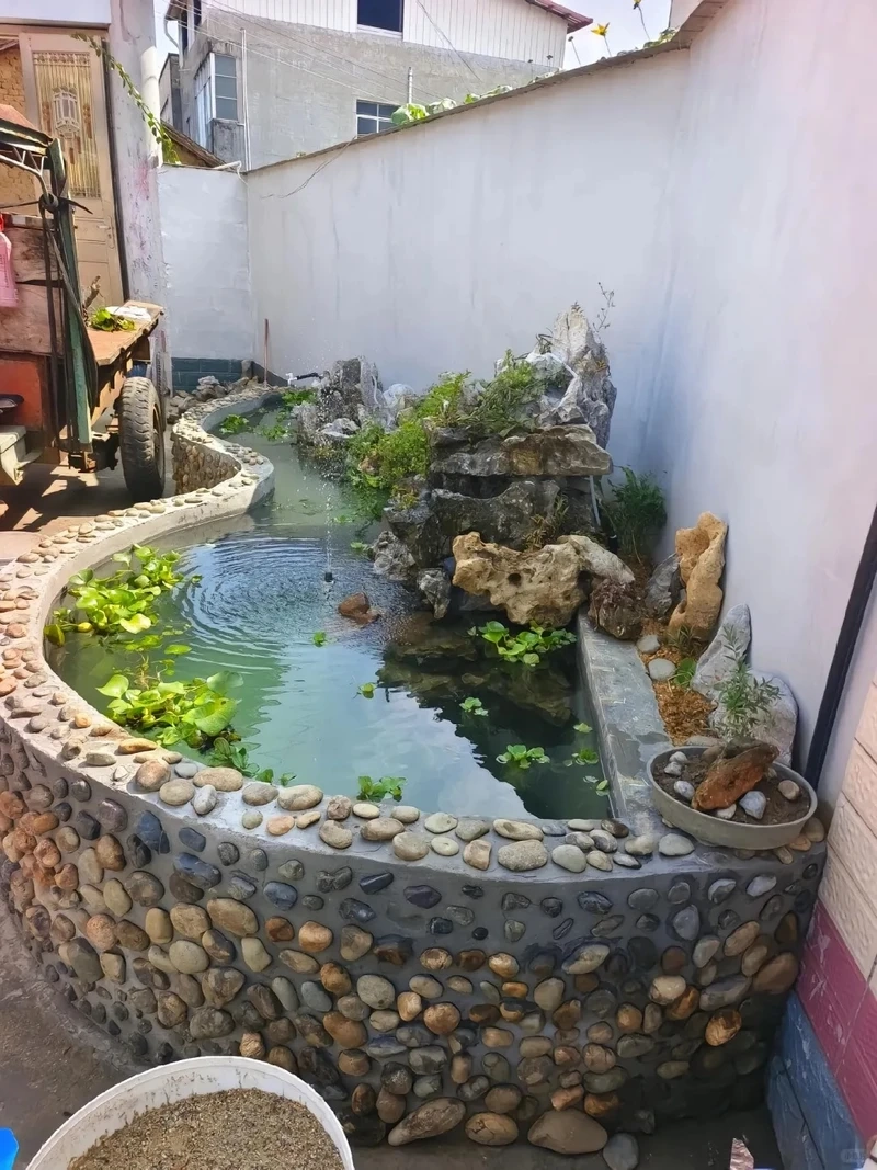 Mô hình tiểu cảnh hồ cá sinh thái cân bằng tự nhiên