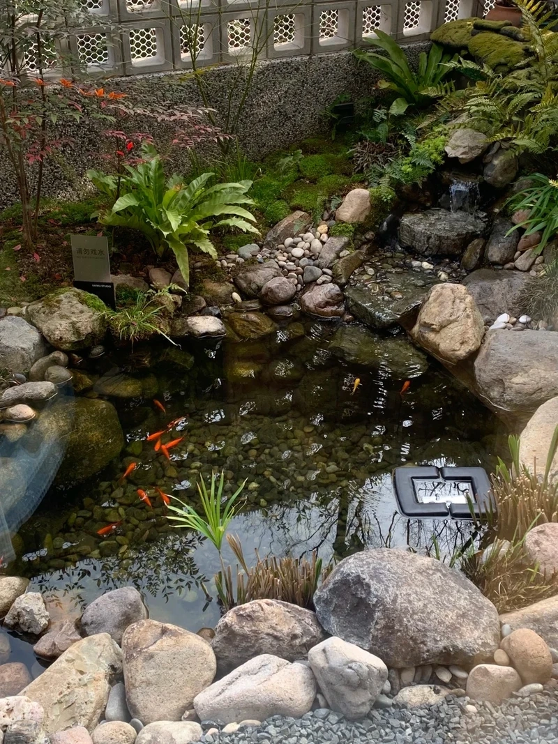 Ý tưởng tiểu cảnh hồ cá kết hợp cây cực hài hòa