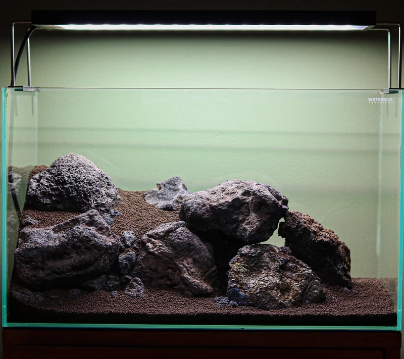 Setup bể cá nham thạch thủy sinh đẹp tự nhiên cho góc phòng xanh mát