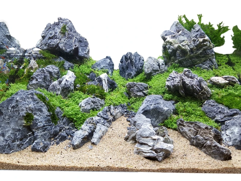 Ý tưởng mới với bể cá đá tai mèo sáng tạo trong aquascape