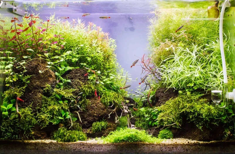 Không gian sang trọng với bể cá nham thạch hiện đại