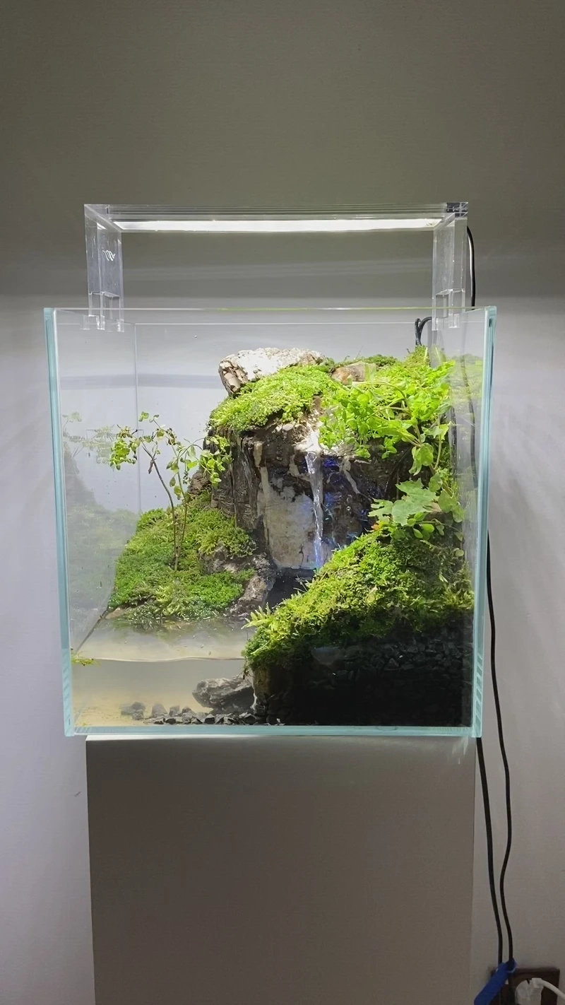 Xu hướng decor mới với bể cá thác nước mini đẹp