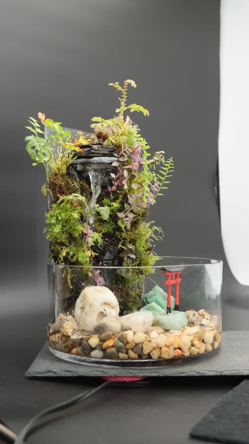 Không gian tinh tế với bể cá thác nước mini sang trọng