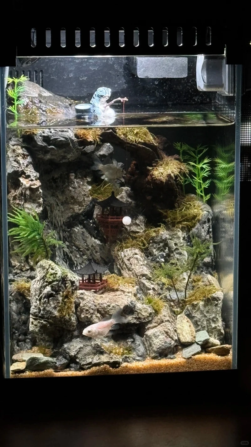 Vẻ đẹp tinh tế của bể cá thác nước mini nghệ thuật