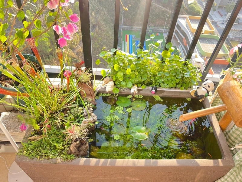 Học cách tạo bể cá thảm cây bố cục đẹp cho hồ thủy sinh