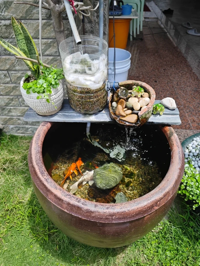 Điểm nhấn decor với bể cá zen trang trí