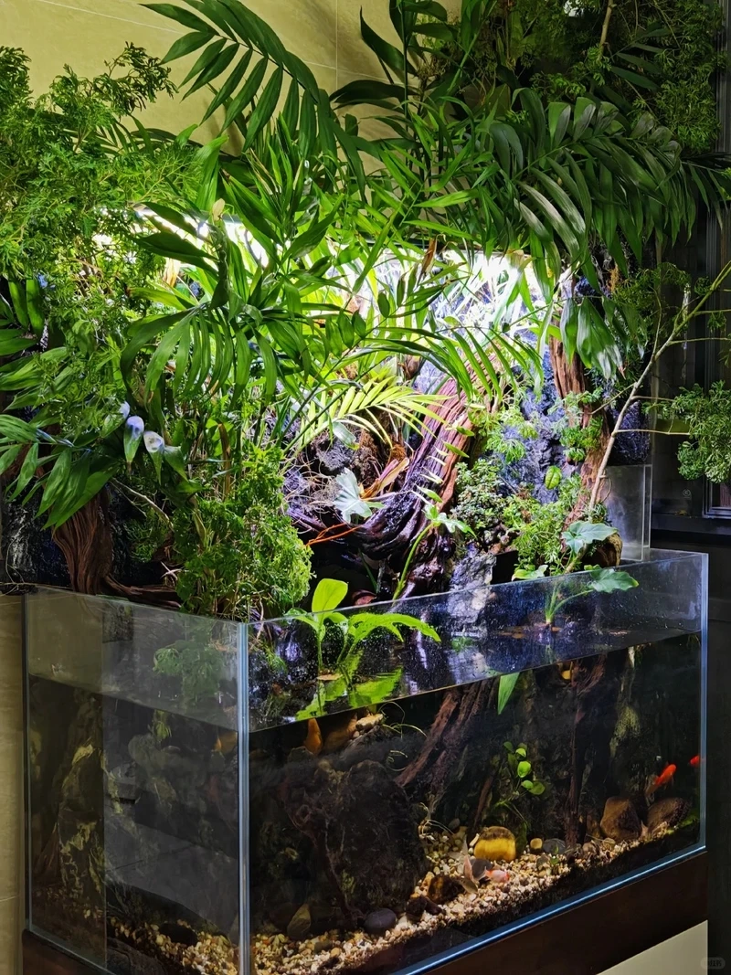 Màu xanh thư giãn từ bể cá zen rêu xanh