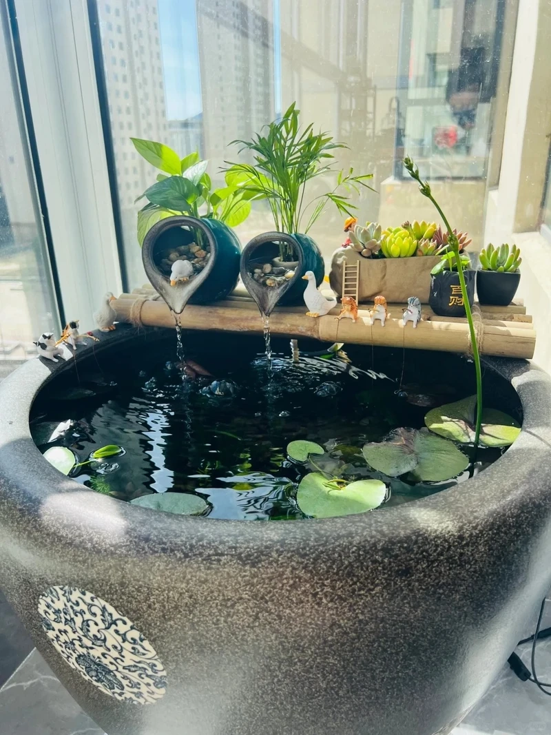 Góc thiên nhiên tĩnh lặng với bể cá zen thiên nhiên đẹp