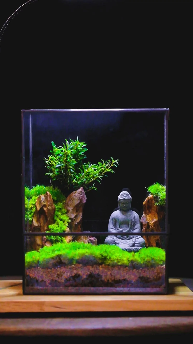 Vẻ đẹp hoang sơ từ hồ thủy sinh đá tự nhiên nhật khiến ai cũng mê