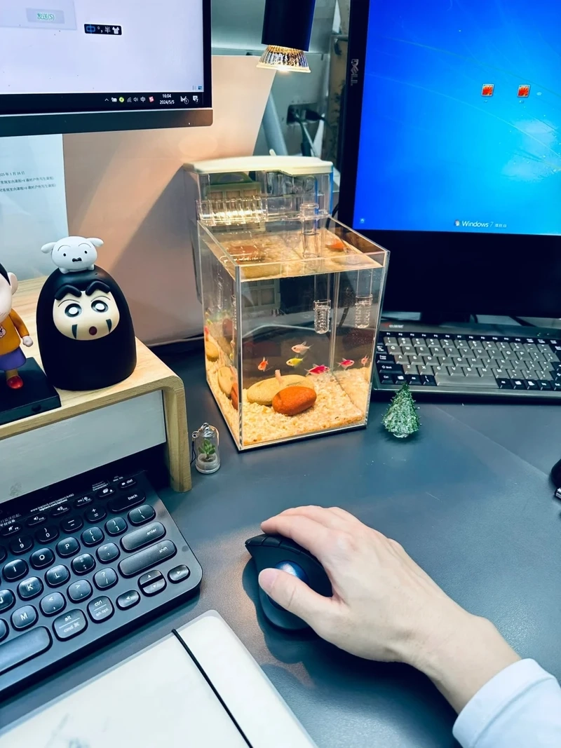 Không gian làm việc sáng tạo với hồ thủy sinh góc làm việc