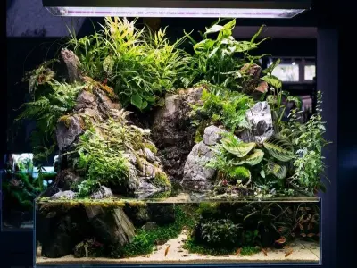 Bể bán cạn - Tuyệt tác thiên nhiên thu nhỏ cho không gian