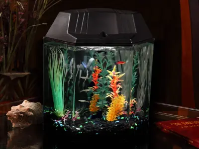 Top mẫu decor bể cá hình lục giác ấn tượng nhất
