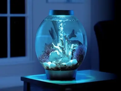 10+ mẫu decor bể cá tròn tinh tế và ấn tượng